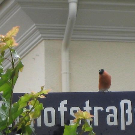 Posthotel Hans Sacks Montabaur Bagian luar foto