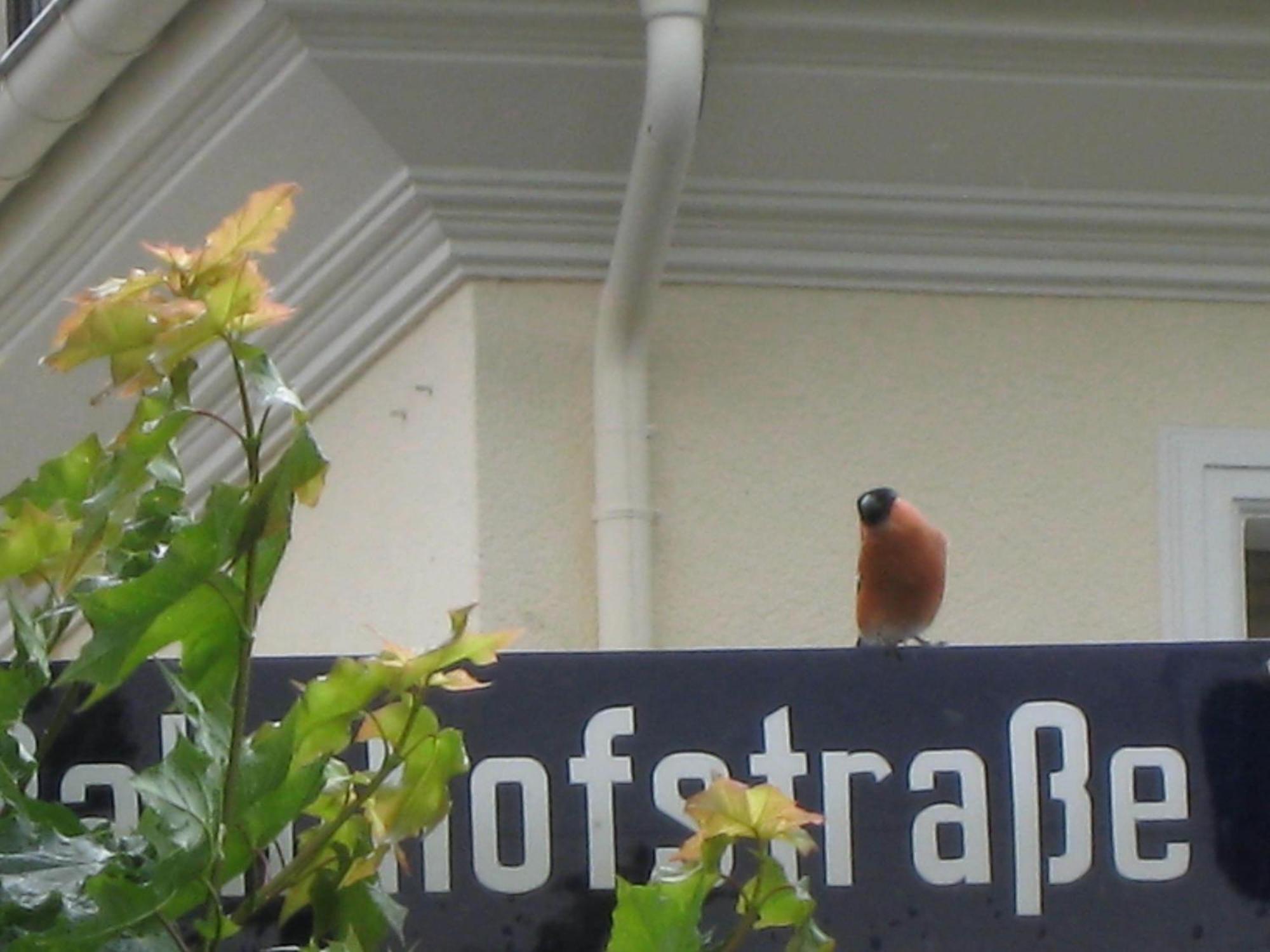Posthotel Hans Sacks Montabaur Bagian luar foto